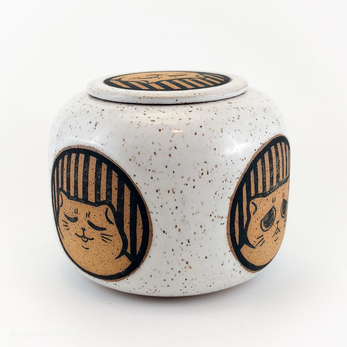 Cat Jar