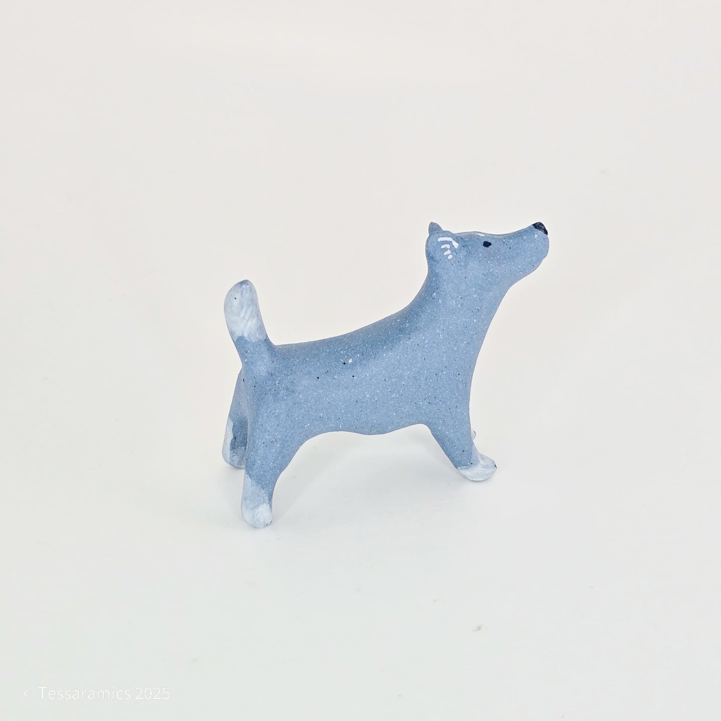 Blue Dog