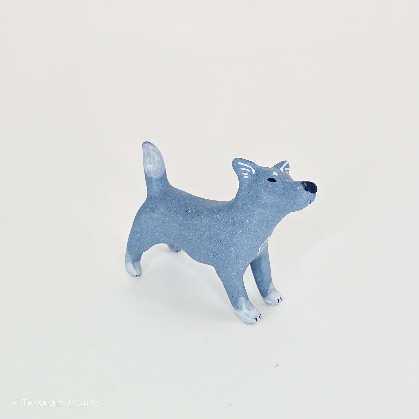 Blue Dog