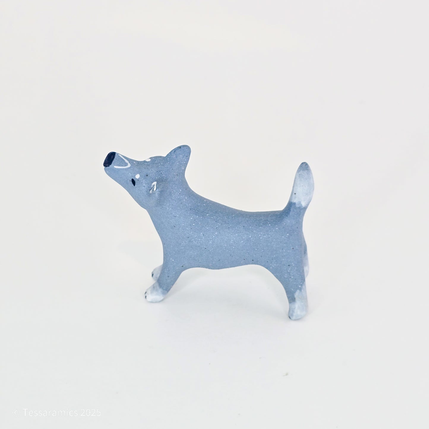 Blue Dog