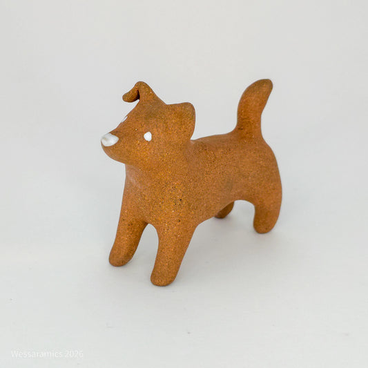 Brown Dog