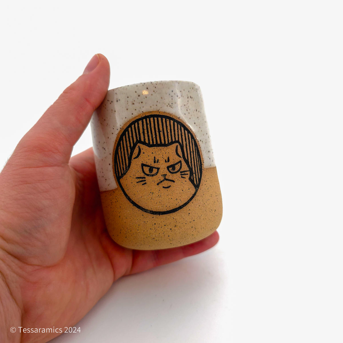 Happy and Angry Tiny Cat Tumbler
