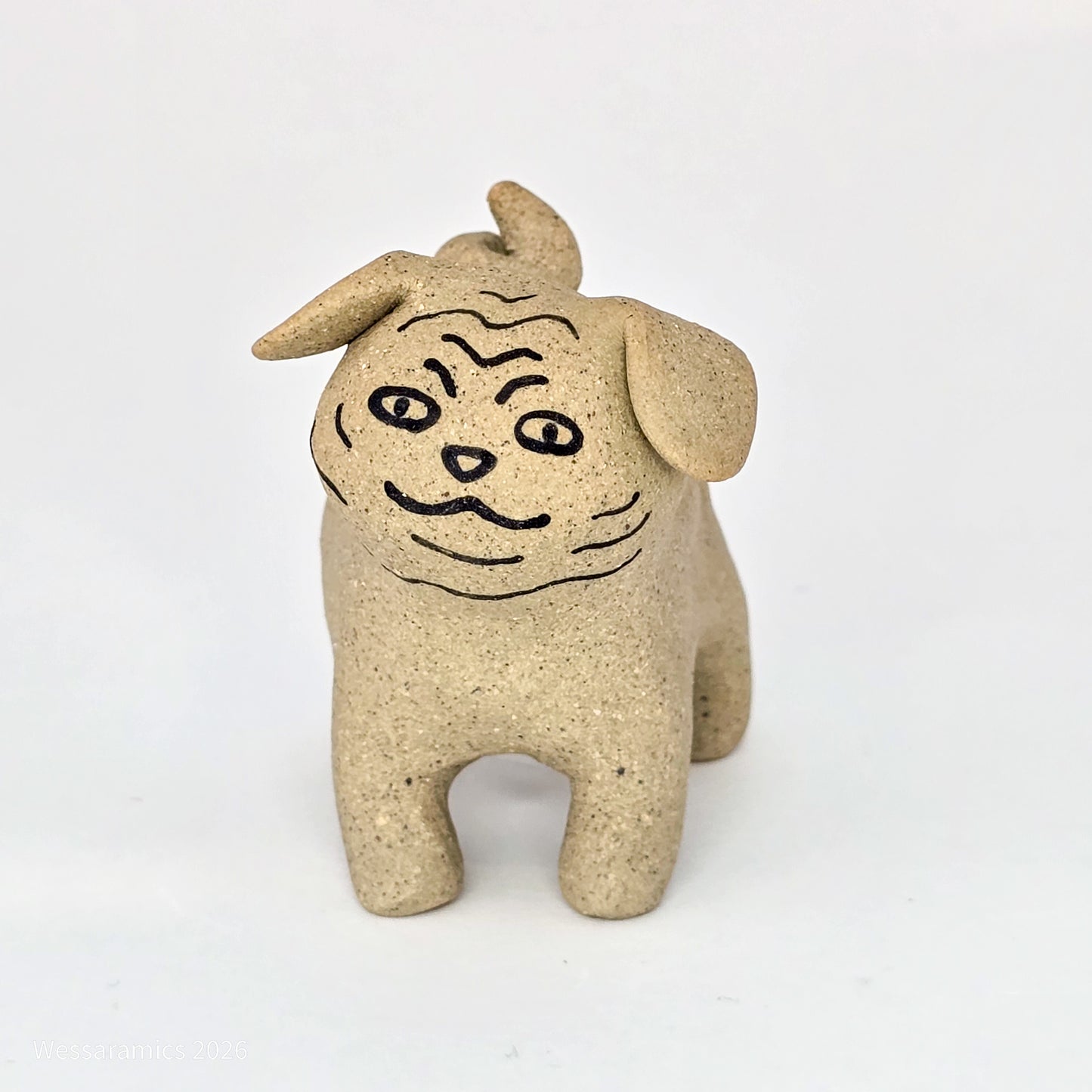 A Normal Pug