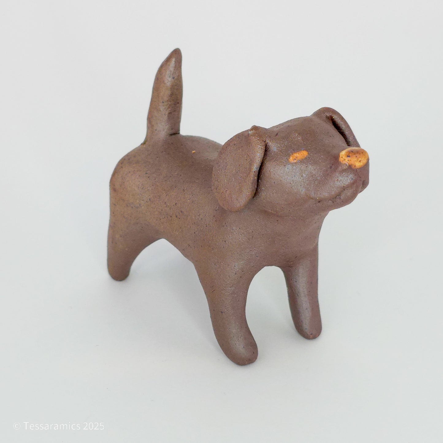 Chocolate Dog