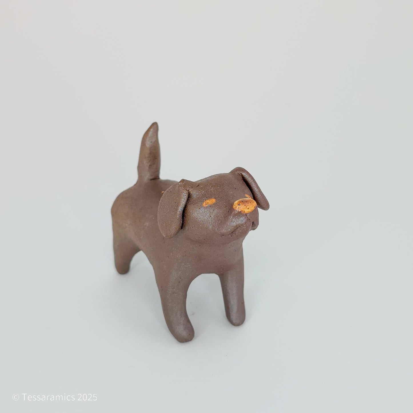 Chocolate Dog