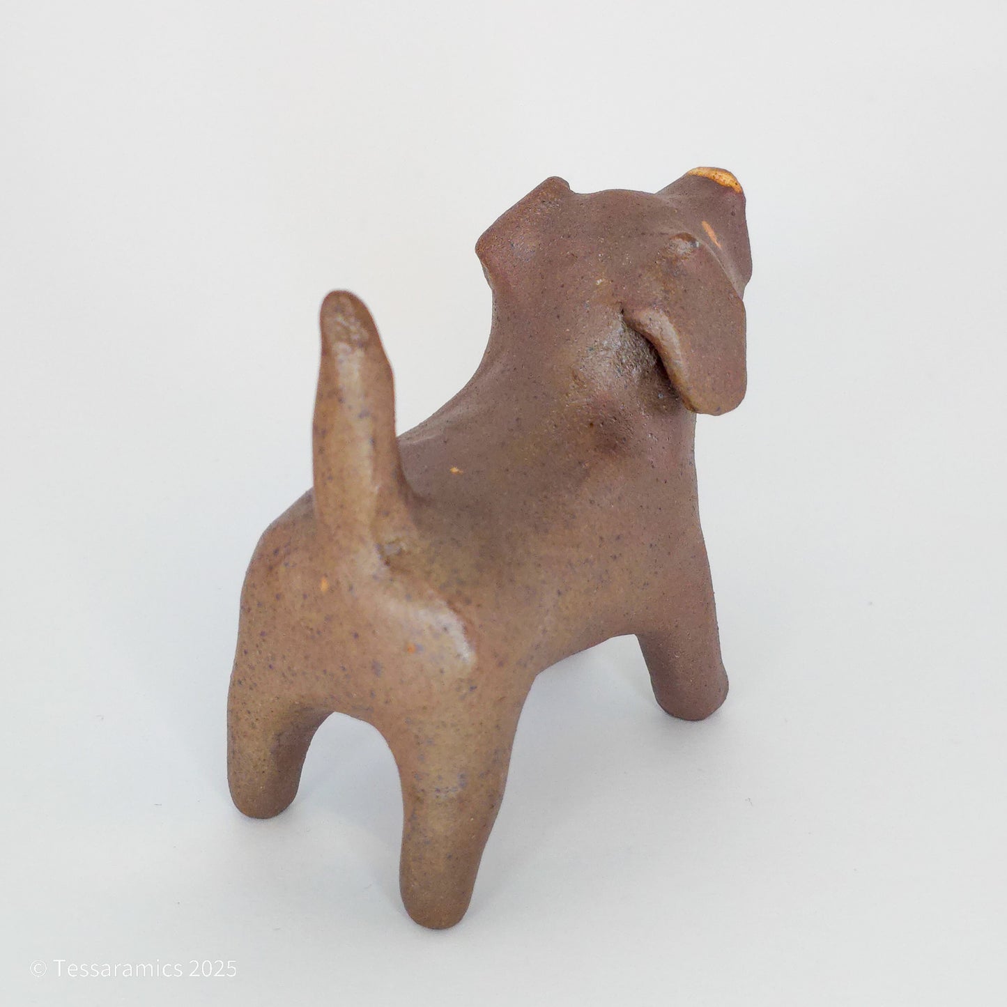 Chocolate Dog