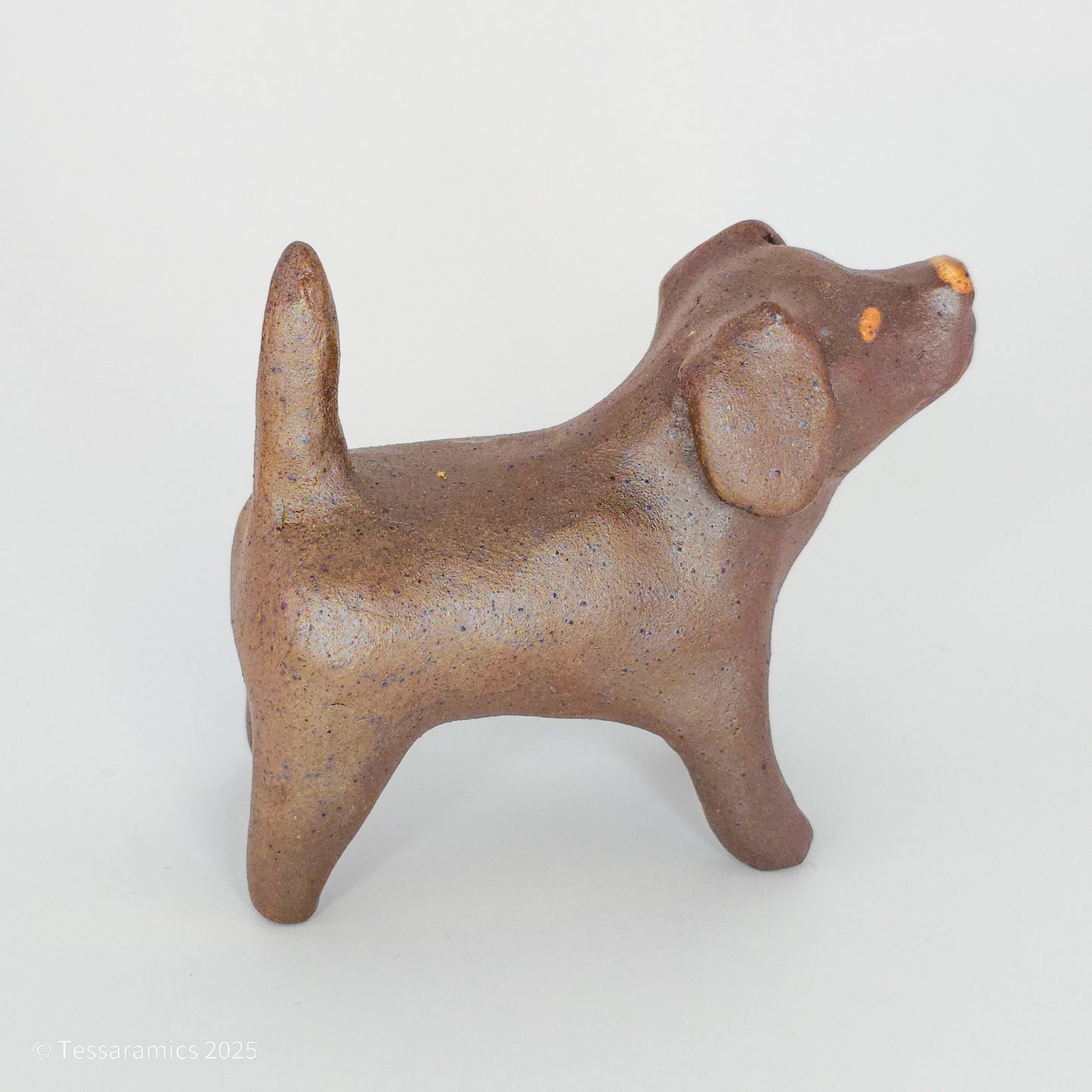 Chocolate Dog