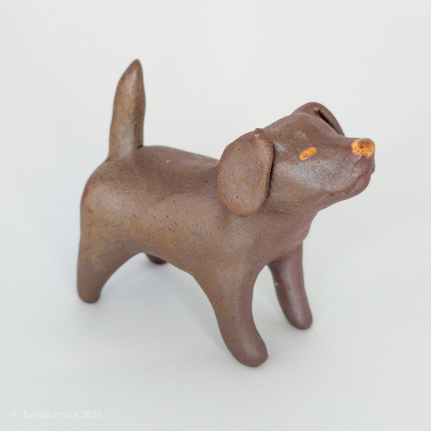 Chocolate Dog