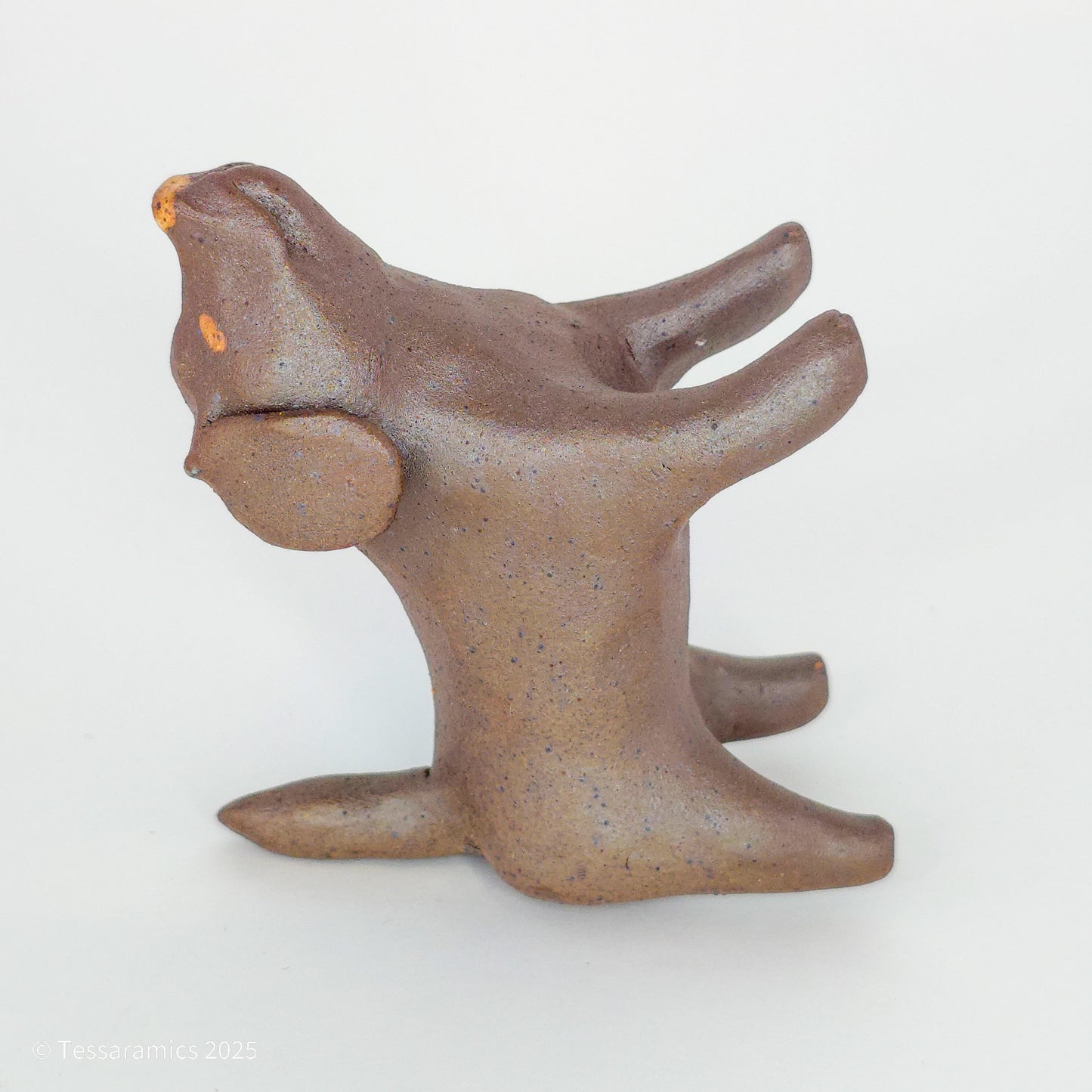 Chocolate Dog