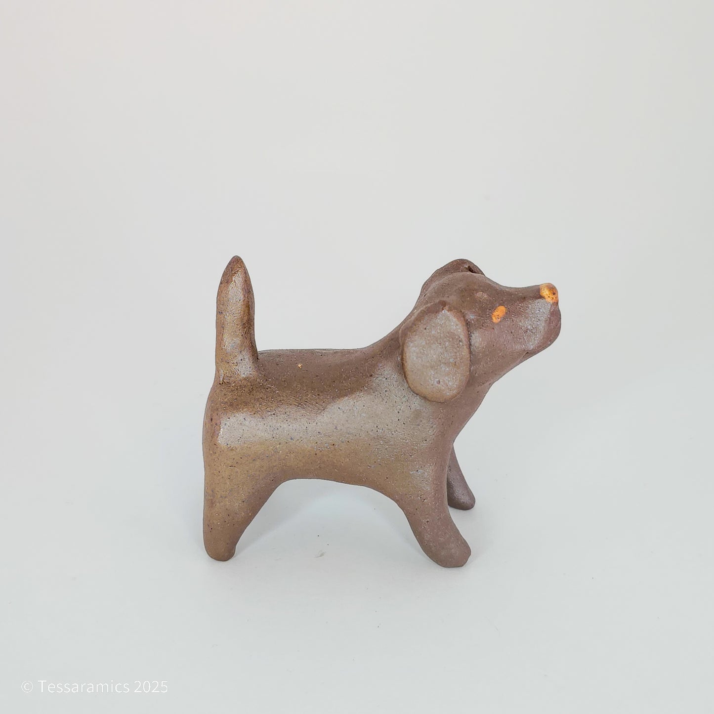 Chocolate Dog