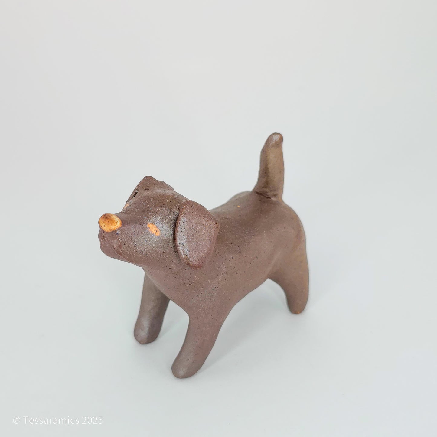 Chocolate Dog